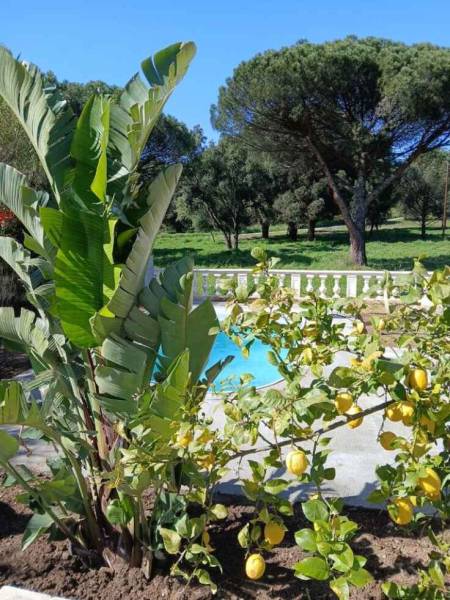 Piscine coque sans permis à Ste MAXIMES près de CAVALAIRE dans le VAR